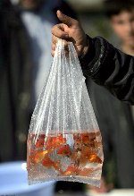 Straßenhändler verkaufen rote Fische