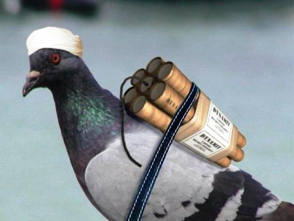 Islam die Religion des Friedens