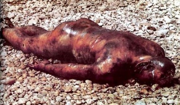 Bildquelle: 4International Der Körper eines bosnischen Serben aus Sarajevo,  der verstümmelt und verbrannt wurde. Sein Körper wurde in den Fluss Miljacka von bosnisch-muslimischen Kräften geworfen 