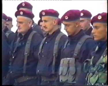 Ein Haager Märchen für besonders naive Menschen. Die militärische Einheit Skorpione soll nach dem Fall Srebrenicas sechs Männer verhaftet und über 100 Kilometer auf dem Landweg zur Erschiessung in die Umgebung von Trnovo gefahren haben