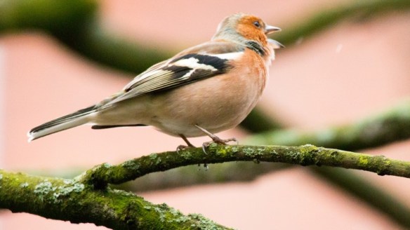 e3d0b579fac60ae18d7c8556e77453dcv1_max_755x425_b3535db83dc50e27c1bb1392364c95a2